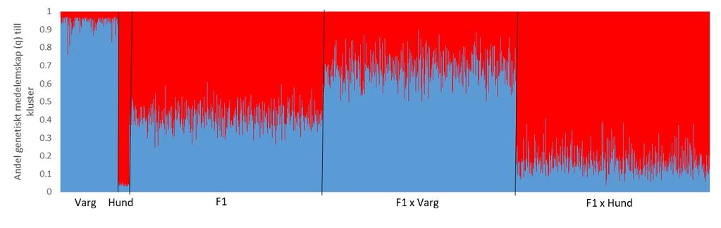 förhandsinformation om populationstillhörighet för två spillningsprov tillsammans med hundar och Skandinaviska vargar A) B) Figur 3.