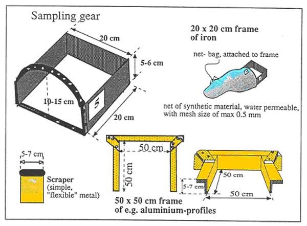 3.1.4 Scraper, frame and net bag A diver equipped with a scraper and an open iron frame (size 0.2 0.