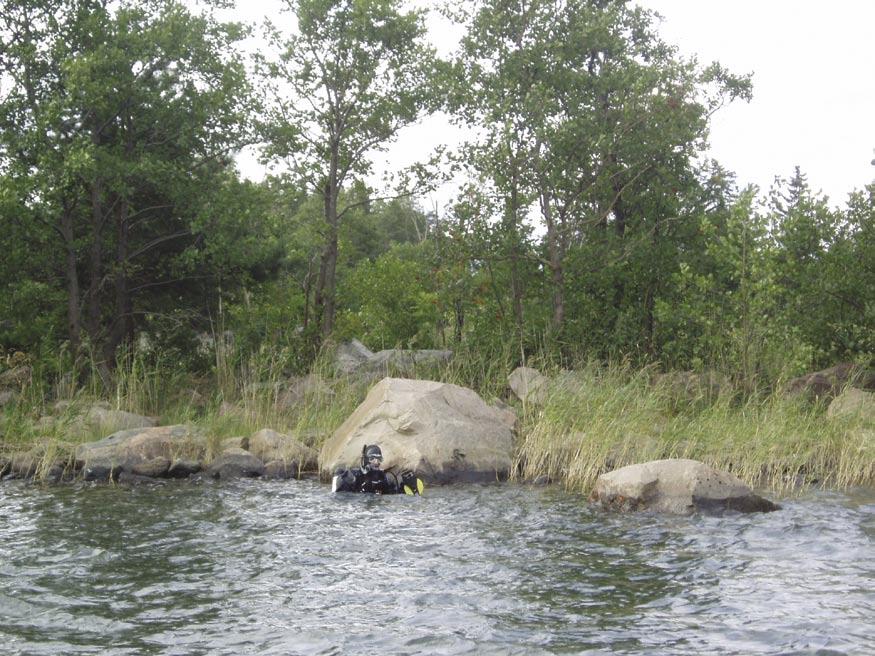 5.2.2 Station 2, Tixlan, LFM 711 This station, located on a small island in the western part of Tixlan was visited on the 25 th of August. The divers swam in a 36 compass direction down to 3.