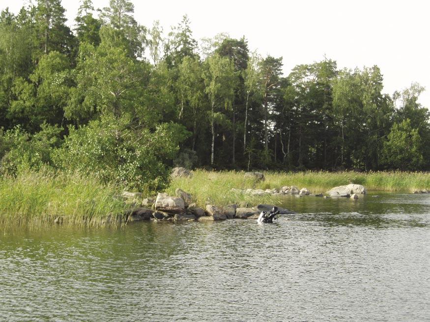 Figure 5-8. Station 3, Tixlan, LFM 712. Diver marking the starting point of a transect. 0 1 1 depth (m) 2 3 2 3 2 2 Cover (%) 3 100 50 0 100 50 0 0 50 3 25/8-04. LFM 712. Tixlan 10 20 distance on line (m) 30 40 50 60 70 80 90 100 0 10 20 50 60 70 distance on line (m) 30 80 40 90 50 100 3 Figure 5-9.