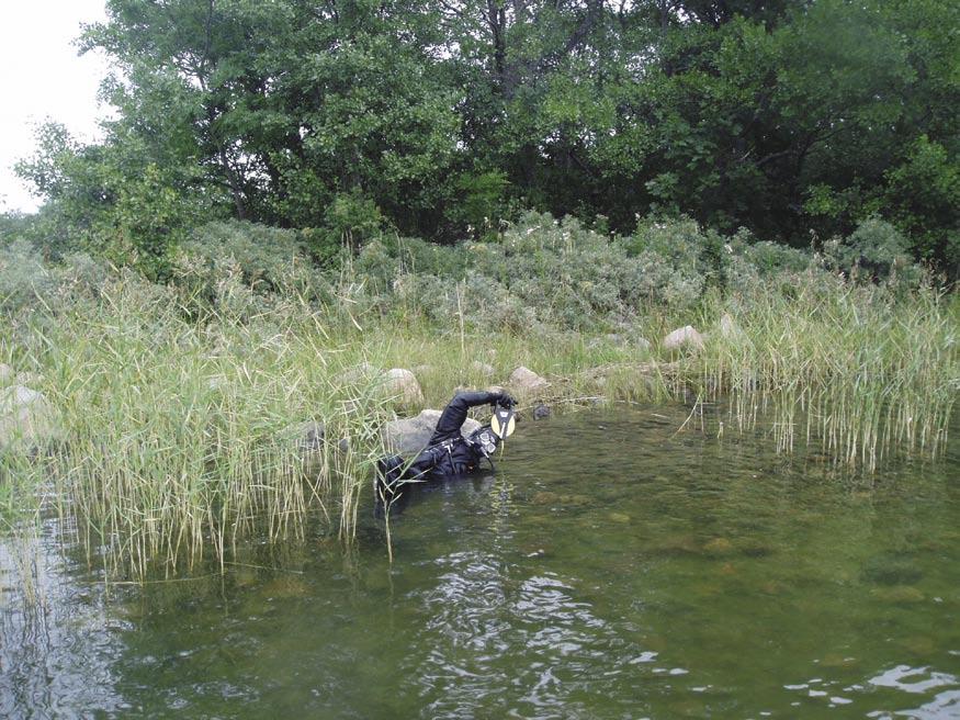 Figure 5-10. Station 4, Tixlan, LFM 713. Diver marking the starting point of a transect. the Baltic mussel (Macoma baltica) were also frequent. Large boulders close to the surface appeared at 0.