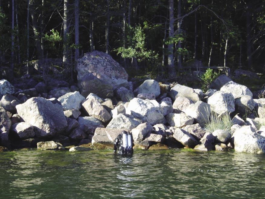 Figure 5-12. Station 5, Trollgrund, LFM 714. Diver marking the starting point of the transect. was 50% and Polysiphonia fucoides covered the boulder, stone and gravel substrate with 5 10%.