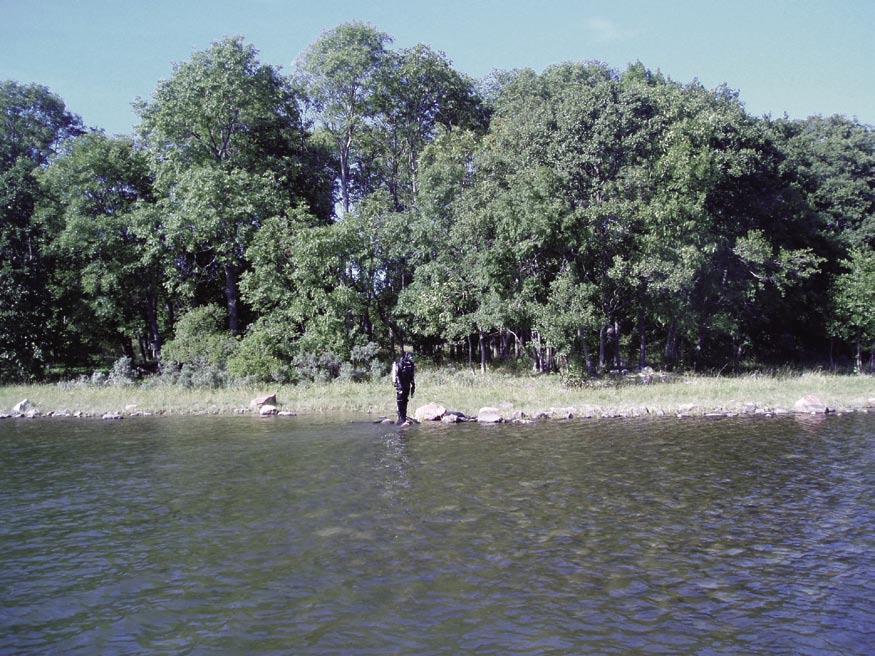 Figure 5-15. Station 6, Kallriga, LFM 715. Diver marking the starting point of a transect. where Vaucheria sp vanished completely.