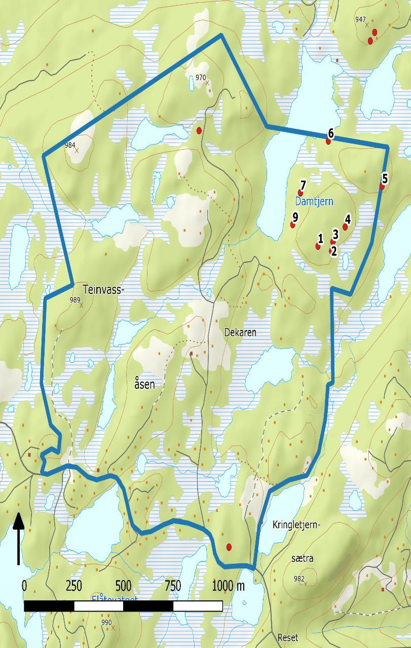 3. Område Området består av blandad terräng; kuperade furu- och björkskogsområden med sjöar, myrmarker och våta partier, samt steniga partier.