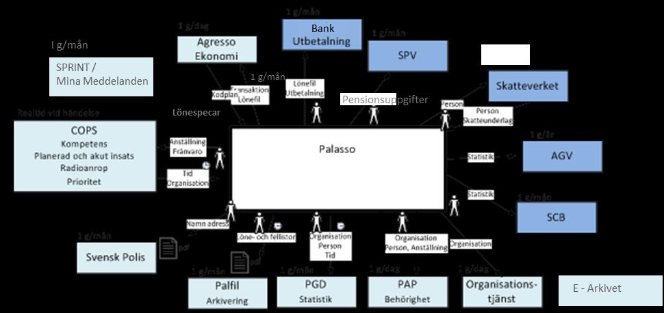 Polisens Palasso kan därför inte betraktas som ett standardsystem utan ett kundanpassat system baserat på ett standardsystem.