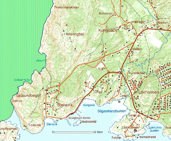 PLANERINGSFÖRUTSÄTTNINGAR Singelfjorden Natura 2000 Natura 2000-områdets avgränsning Planområdet omfattas av miljökvalitetsnormer för luft.