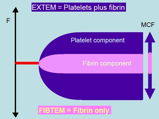 ROTEM