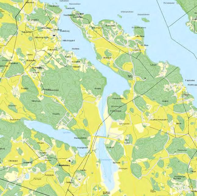 Svartsjövägen kantas av täta vassbälten som på ett fåtal platser rensats vid bryggor, tomtmark och små sandstränder. Längs några berghällar vid vattnet noterades glesa sävbälten.