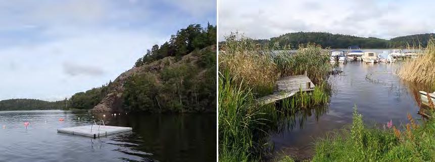 Figur 10. Badplatser och småbåtshamnar är vanliga runt Tullingesjöns strand. Totalt observerades 16 arter av undervattensvegetation vid inventeringen, undantaget övervattensvegetation.