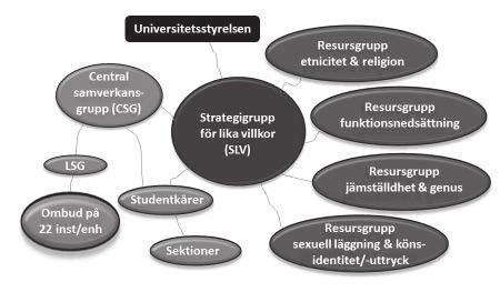 Ansvarsfördelning Rektor har det övergripande ansvaret för att universitetet bedriver ett målinriktat arbete inom området lika villkor.