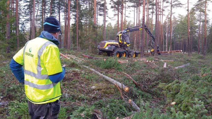 Arbetsrapport Från Skogforsk nr.