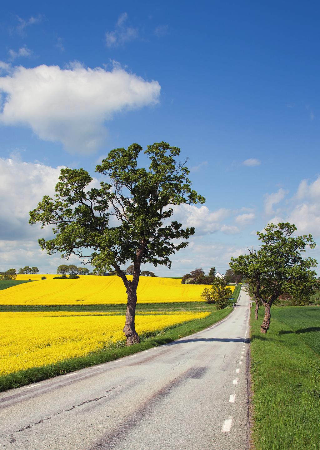 Mötesplatser för Skåne att skapa framtiden i partnerskap Årets regionala forum sätter fokus på möten och mötesplatser.