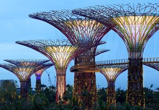 Efter utcheckning träffas vi för gemensam lunch och därefter en tur till en av Singapores nyare sevärdheter, Gardens by the Bay med inträde till både Cloud Forest och Flower Dome.