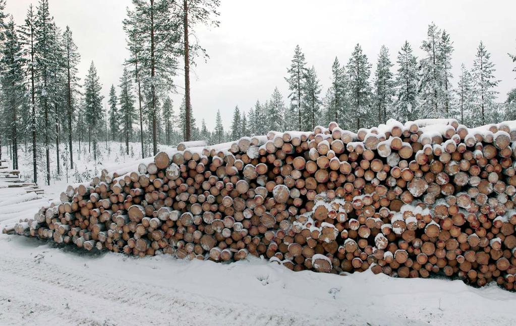 SKOGSBRUK PÅLITLIG VIRKESHANDEL OCH ANSVARSFULL SKOGSSKÖTSEL Skogsbruk är till omsättningen Forststyrelsens största resultatområde.