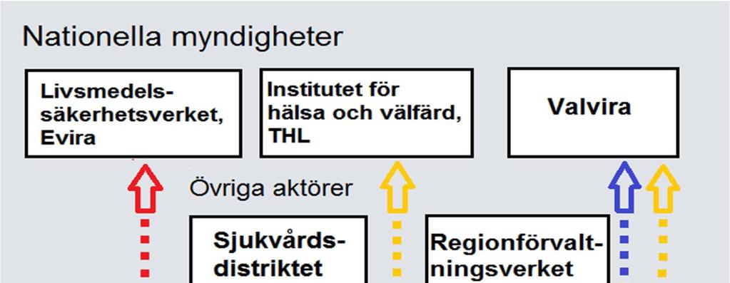 Till epidemiutredningsgruppens arbete hör sedan att se till att de undersökningar görs som krävs för att utreda epidemin, och att samordna de åtgärder som ska få epidemin under kontroll.