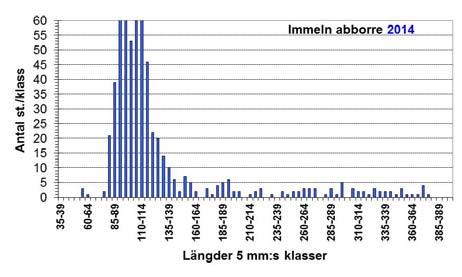 Bilaga 2 Längdklasser Antal st./klass 60 55 50 45 40 35 30 25 20 15 10 5 0 Immeln abborre 1991 Antal st.