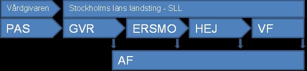 Informationssystem Socialstyrelsens definition av informationssystem är: system som insamlar, bearbetar, lagrar eller distribuerar och presenterar information.