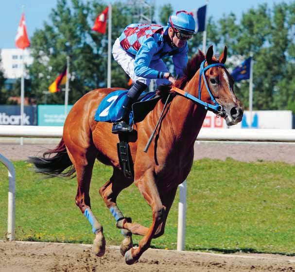 DERBYBANAN JÄGERSRO NR 8 ONSDAG SEPTEMBER 0 KL.0 JÄGERSRO GALOPP Fri entré! Fyra välfyllda handicaplöpningar utgör V:an!