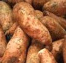 Jajčevci, avokado in hruške krepijo zdravje, delovanje maternice in materničnega vratu tudi izgledajo kot omenjena ženska organa.