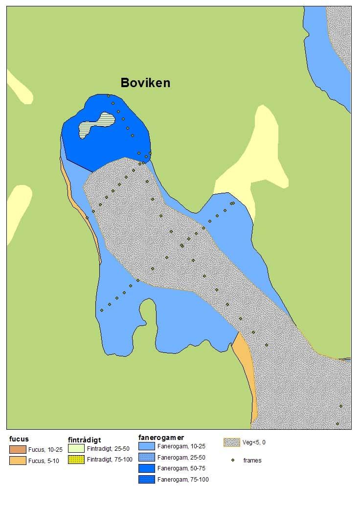 Figur 5-4. Delskikt av habitatkartan för Boviken.