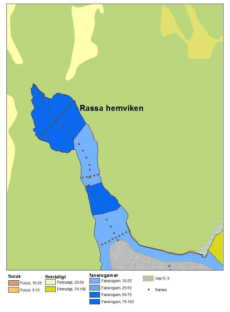 Figur 5-7. Delskikt av habitatkartan för Rassa Hemviken.