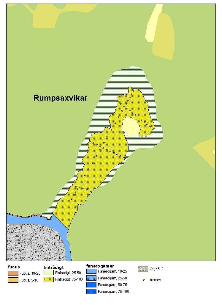 Figur 5-12. Delskikt av habitatkartan för Rumpsaxvikar.