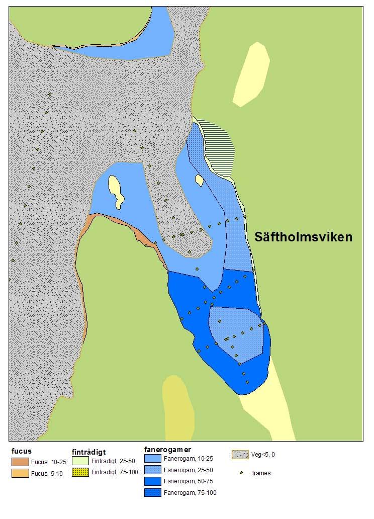 Figur 5-14. Delskikt av habitatkartan för Säftholmsviken.