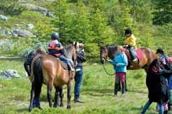 Evenemang i Grövelsjöfjällen! I Grövelsjön arrangeras under året många roliga och spännande evenemang. Se anläggningarnas egna hemsidor eller grovelsjon.com för mer information.