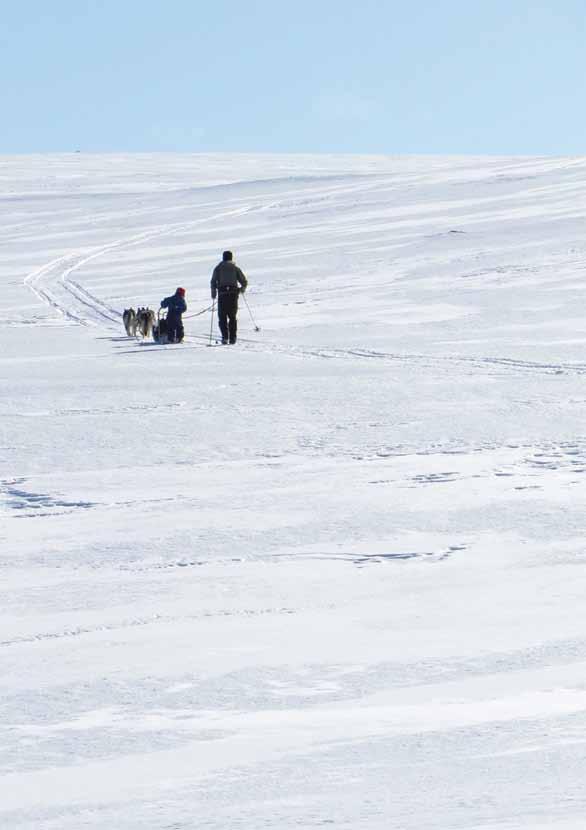 Upplev Grövelsjöfjällen i vinter! I Grövelsjöfjällens natursköna fjällmiljö öppnar sig många valmöjligheter för en fulländad vintersemester.