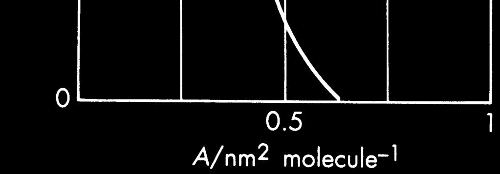 Collapsing π Α phase diagrams Brewster angle microscopy