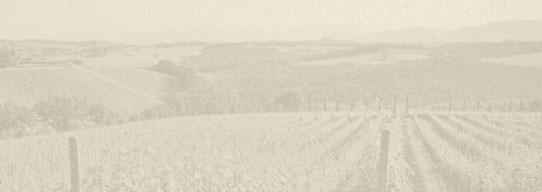 89: 100: 129:,5 159: 15 169: 172: 2016 L ami des Crustacés Pinot Blanc Classique Gustave Lorentz, Alsace, Frankrike 78506, Bibendum, 12,5 % Ung, ganska generös och tät doft av stenfrukter, citrus och