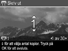 3. Om du vill skriva ut flera kopior markerar du Ändra antalet kopior och trycker på.