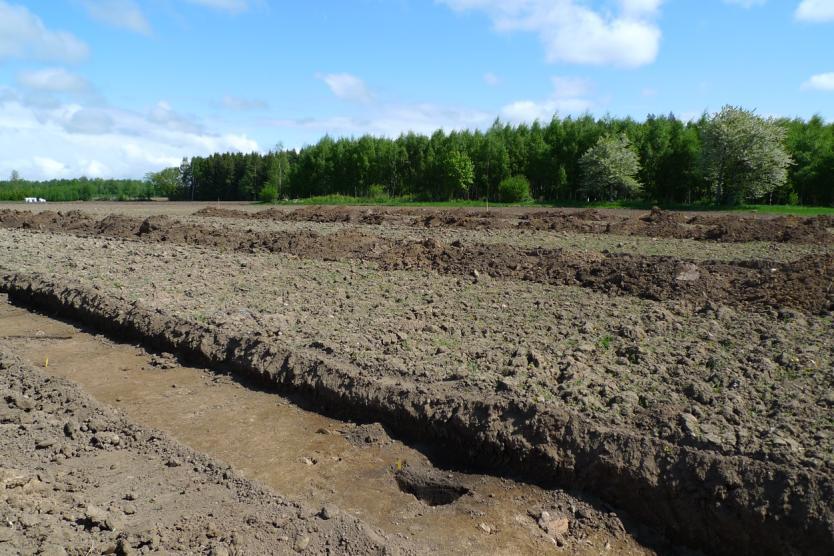 Figur 3. Undersökningsområdet sett från sydväst. Foto: Elisabet Pettersson, SAU. Tidigare undersökningar En utredning av området för den nya vägsträckningen genomfördes 2008 av UV Öst.