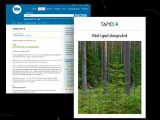 Lagstiftning och regler Såväl den svenska skogsvårdslagen som den finska skogslagen ger stora friheter för den skogs- ägare som vill bedriva hyggesfritt skogsbruk.