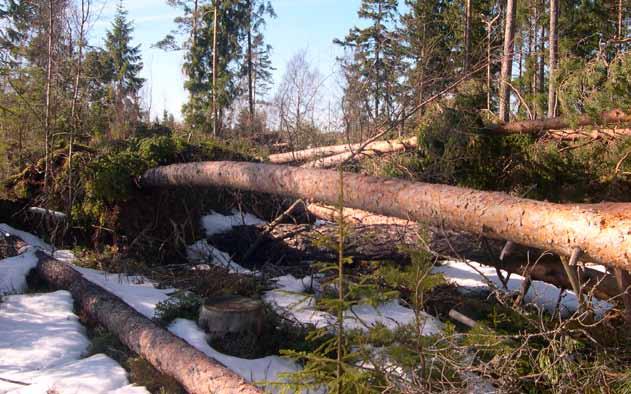 Hyggesfritt - skador diga resultat om dessa faktorer ökar eller minskar skadorna (Heikkilä & Mikkonen 1992, Heikkilä & Härkönen 1996, Ball & Dahlgren 2002).