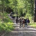 Skogforsk. Forskningsprogrammet pågick mellan 2009 och 2016.