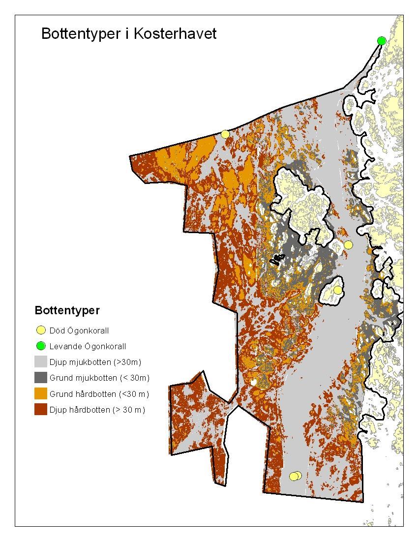 På väg till skötselplan & föreskrifter före 2009 Biologisk dokumentation 2006-2008 biotoper, arter, speciella värden Förslag till