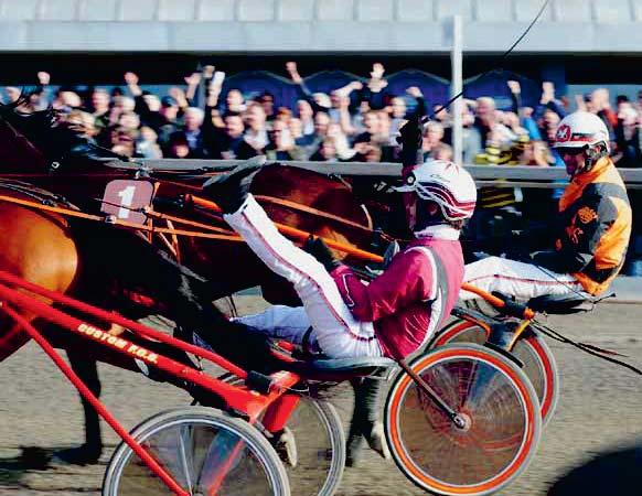 KINGSLAND NORSK DERBY Sponset av Oslo Horse Show Bli