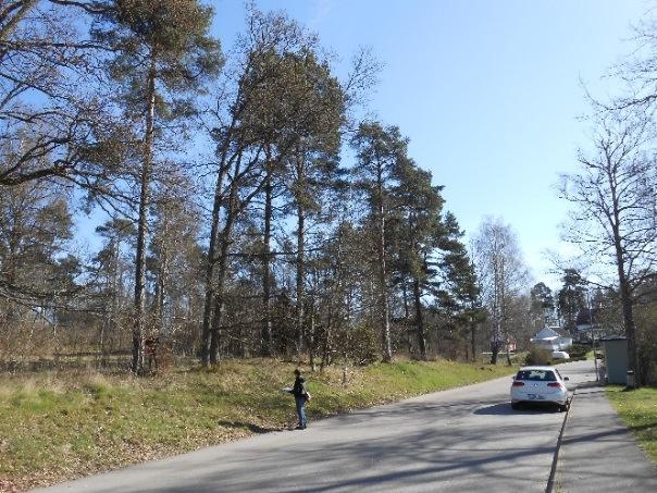 Tillgänglighet Råd och riktlinjer - bebyggelse med god tillgänglighet och användbarhet framtagna av stadsbyggnadskontoret 2006 ska tillämpas för att uppnå godtagbar tillgänglighet för alla med