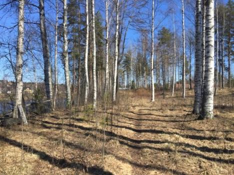 Naturmiljö Promenad stig Trappa ner till älvstranden Sittplats vid älven Ett informelt promenadstråk finns längs älven mellan släntkrön och planområdet.