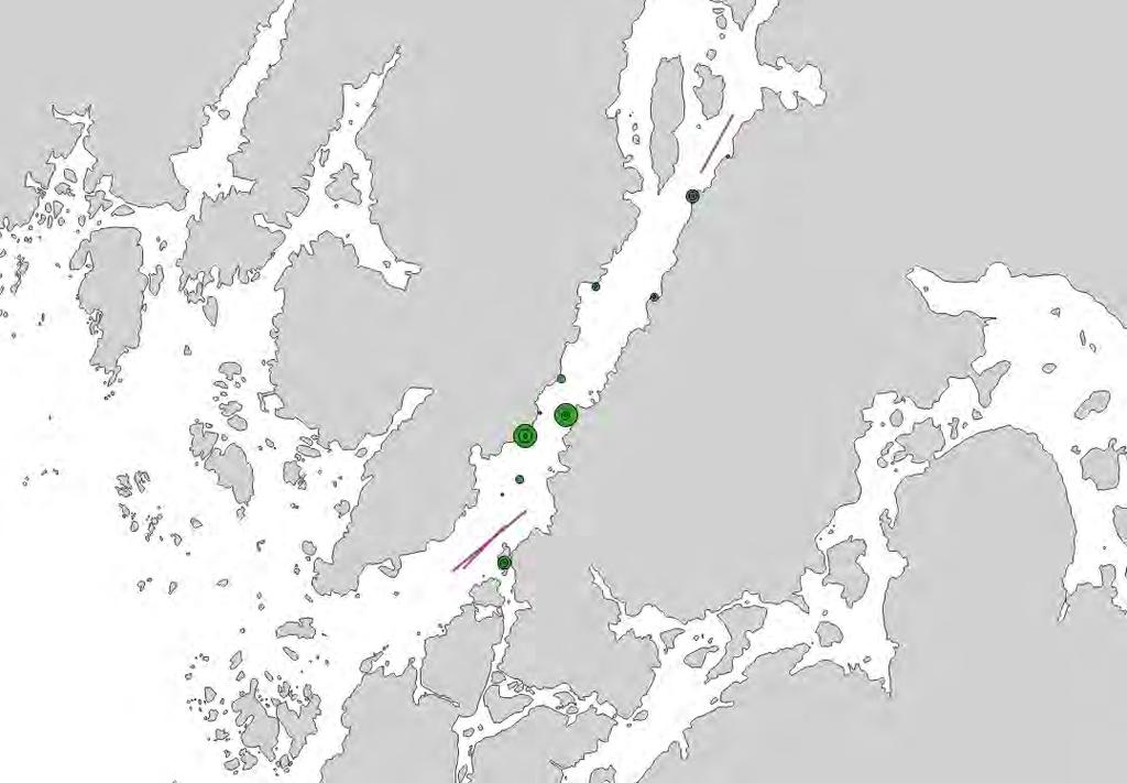 ade havskräftor samt bifångst av fisk i varje bur. Utöver fångstdata registrerades fiskedjup, position samt ståtid för varje länk.