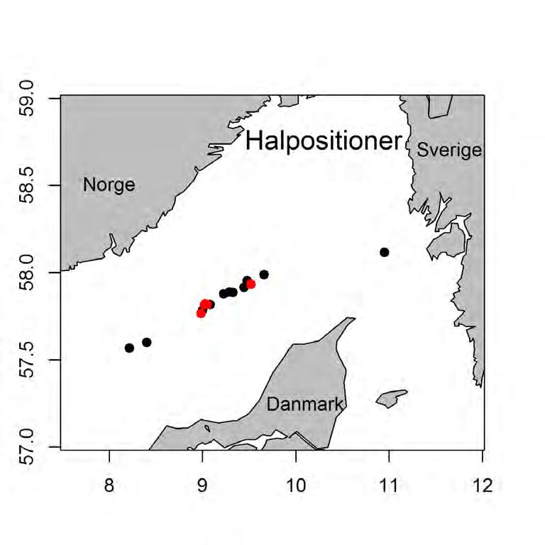 Figur 7.4. De hal som gjorts under försöket är alla utom ett i yttre Skagerrak på c:a 200 meters djup.