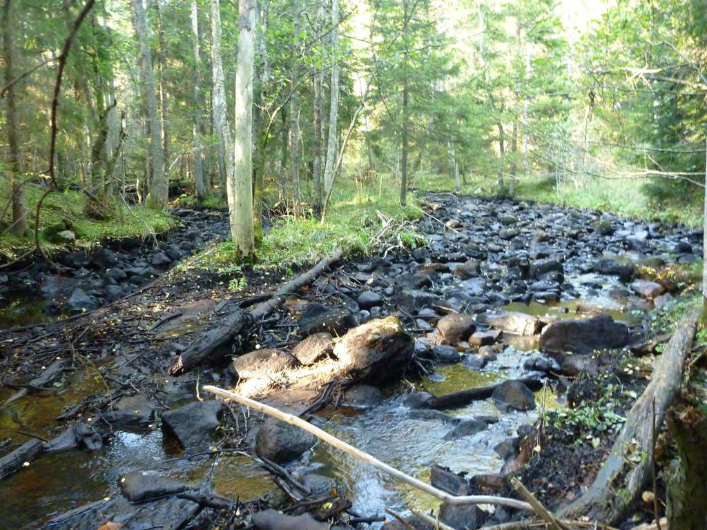 Ska täcka habitaten med tillräckligt med vatten. Flödet ska inte vara den dominerande flaskhalsen.