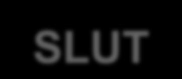 SLUT