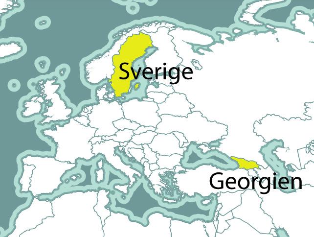 Hultqvist önskar lycka till med NATOmedlemskapet och talar om hur nära befryndade Sverige och Georgien är.