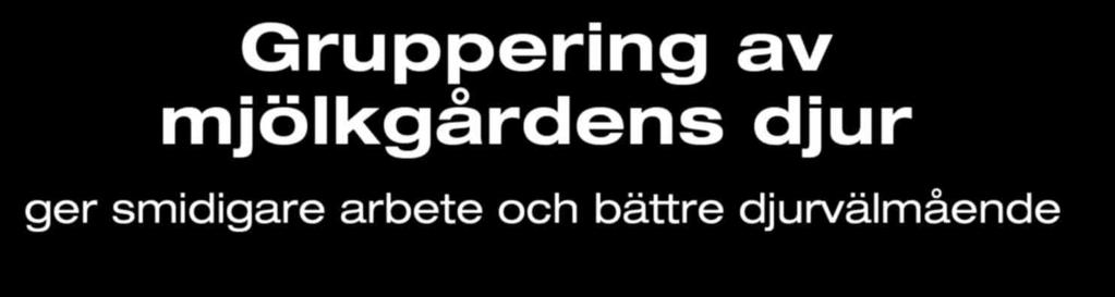 Gruppering av