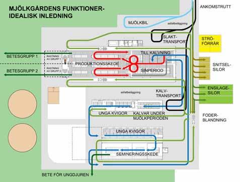 till gården och att de sprids mellan djurgrupperna. På gårdsnivå betyder detta att gårdens interna och externa djur-, fordons- och persontrafik hålls isär i mån av möjlighet.