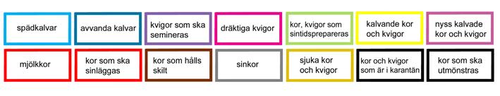 Grupperingen har central betydelse för djurens välmående Kor, kvigor och kalvar måste hållas i skilda grupper. Onödiga gruppbyten ska undvikas eftersom flyttningen innebär stress för djuren.