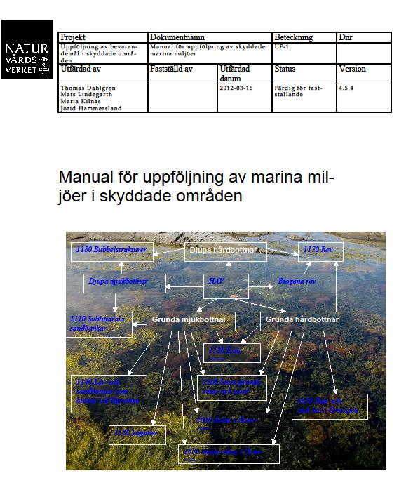 Uppföljning skyddade områden; hav Manual för uppföljning skyddade områden. https://www.havochvatten.