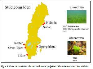 Samarbete mellan Superb, waters, marmoni, hav möter land Utveckling av metodbeskrivning vid övervakning, uppföljning och kartläggning av habitat och habitatbildande arter med undervattensvideo